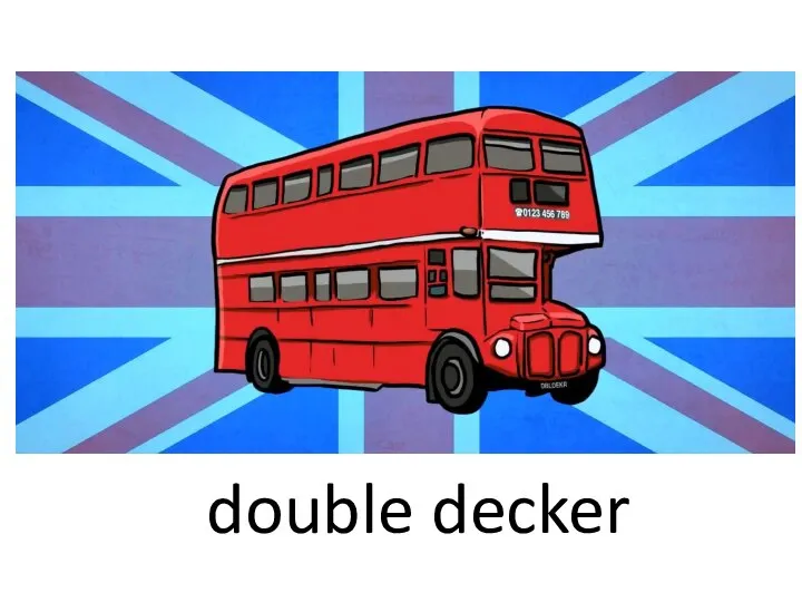 double decker