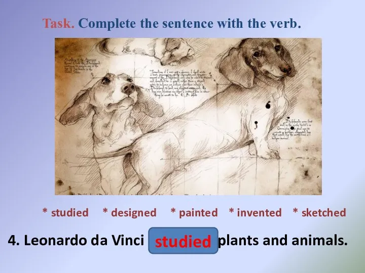 * studied * designed * painted * invented * sketched 4. Leonardo
