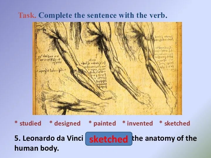 * studied * designed * painted * invented * sketched 5. Leonardo
