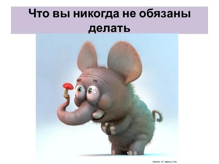 Что вы никогда не обязаны делать