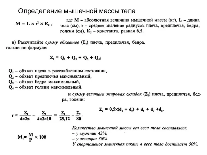 Определение мышечной массы тела