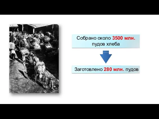 Собрано около 3500 млн. пудов хлеба Заготовлено 280 млн. пудов