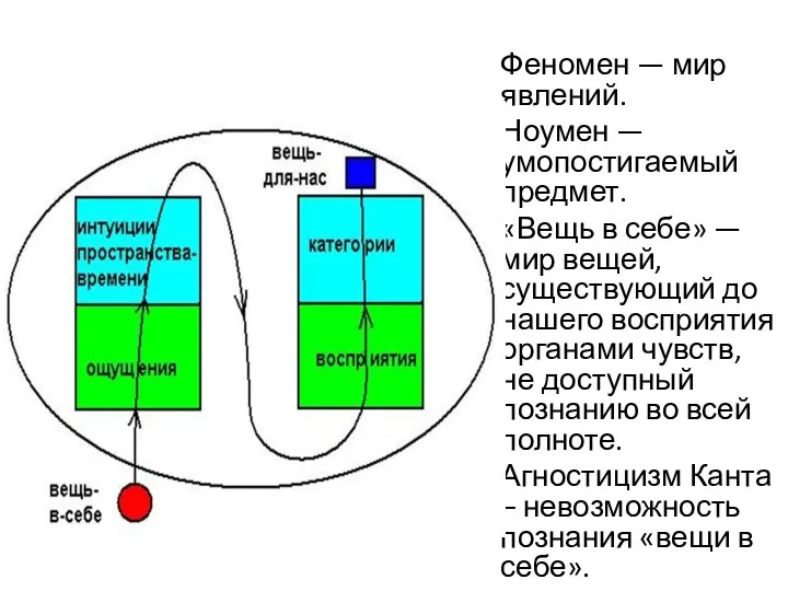 Феномен — мир явлений. Ноумен — умопостигаемый предмет. «Вещь в себе» —