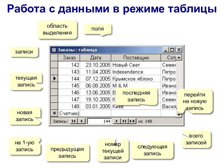 Работа с данными в режиме таблицы поля записи текущая запись область выделения