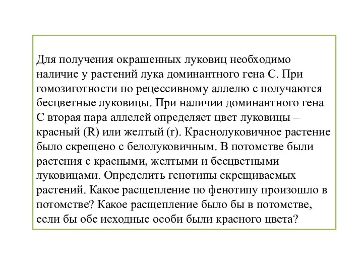 Для получения окрашенных луковиц необходимо наличие у растений лука доминантного гена С.