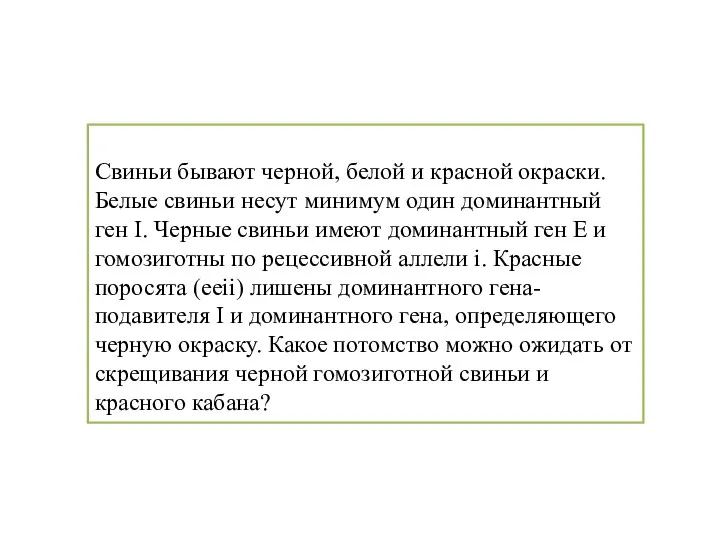 Свиньи бывают черной, белой и красной окраски. Белые свиньи несут минимум один