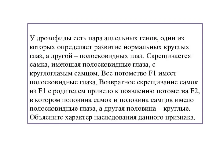 У дрозофилы есть пара аллельных генов, один из которых определяет развитие нормальных