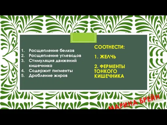 СООТНЕСТИ: 1. ЖЕЛЧЬ 2. ФЕРМЕНТЫ ТОНКОГО КИШЕЧНИКА Расщепление белков Расщепление углеводов Стимуляция