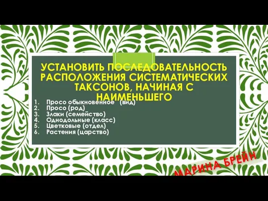 УСТАНОВИТЬ ПОСЛЕДОВАТЕЛЬНОСТЬ РАСПОЛОЖЕНИЯ СИСТЕМАТИЧЕСКИХ ТАКСОНОВ, НАЧИНАЯ С НАИМЕНЬШЕГО Просо обыкновенное (вид) Просо