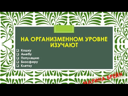 НА ОРГАНИЗМЕННОМ УРОВНЕ ИЗУЧАЮТ Кошку Амебу Популяцию Биосферу Клетку МАРИНА БРЕЙН