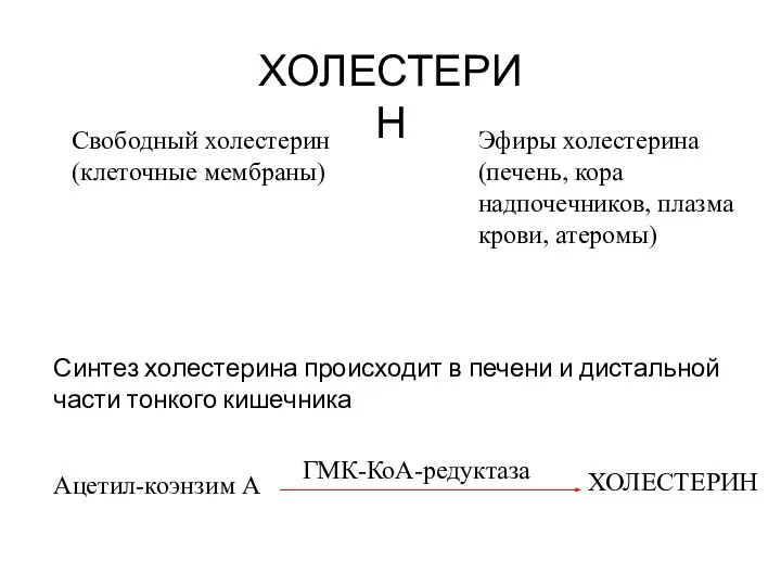 ХОЛЕСТЕРИН Свободный холестерин (клеточные мембраны) Эфиры холестерина (печень, кора надпочечников, плазма крови,