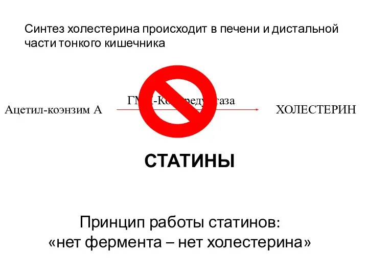 Синтез холестерина происходит в печени и дистальной части тонкого кишечника Ацетил-коэнзим А