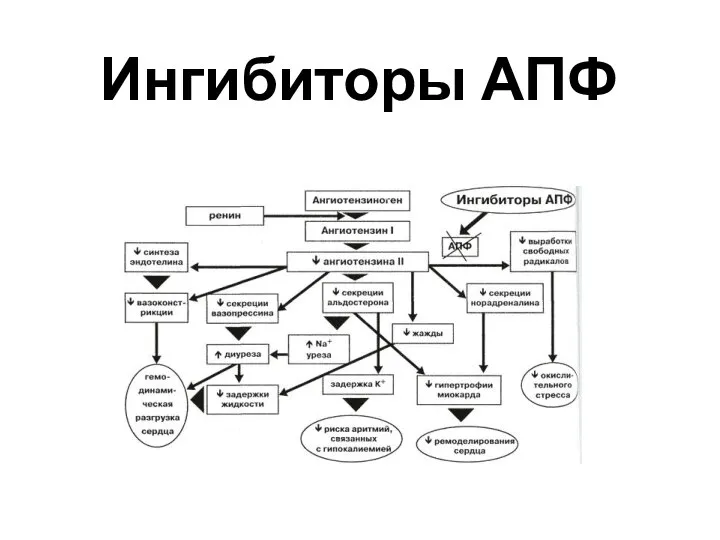 Ингибиторы АПФ