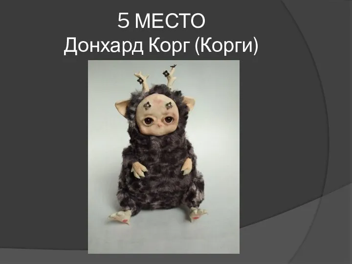 5 МЕСТО Донхард Корг (Корги)