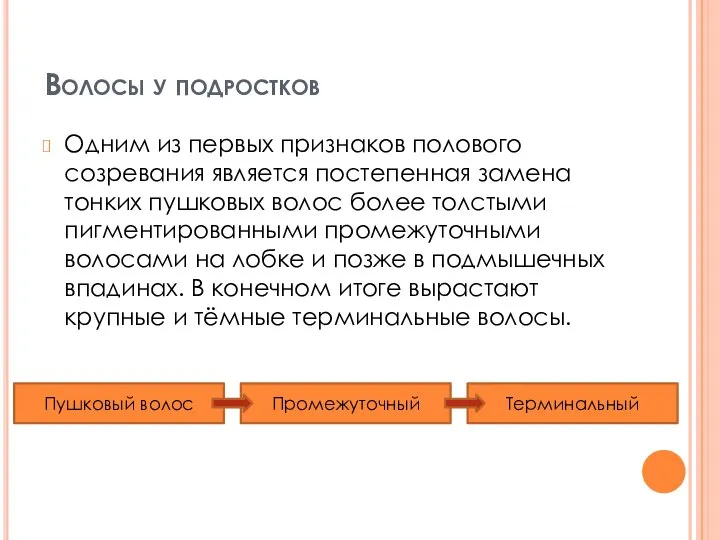 Волосы у подростков Одним из первых признаков полового созревания является постепенная замена