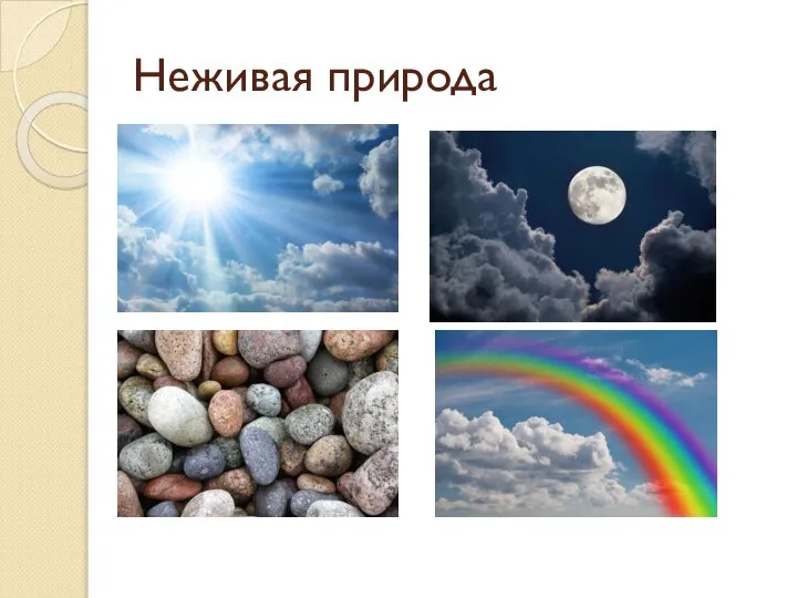 Неживая природа