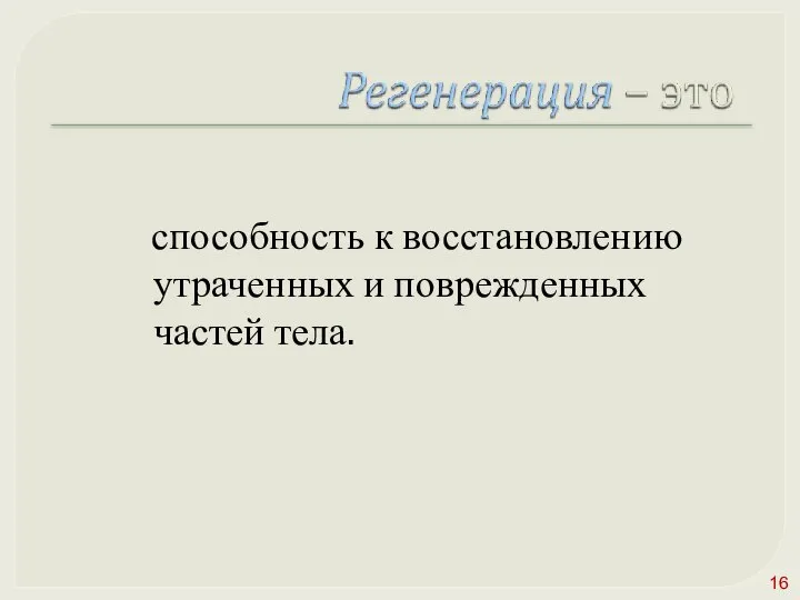 способность к восстановлению утраченных и поврежденных частей тела.