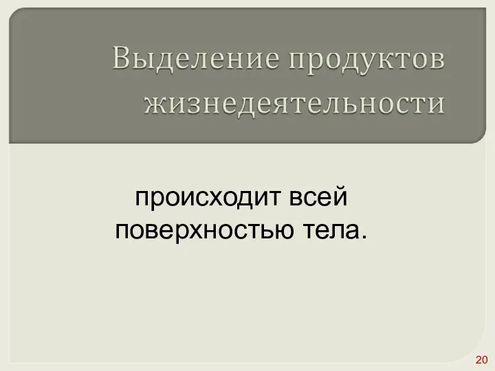 происходит всей поверхностью тела.