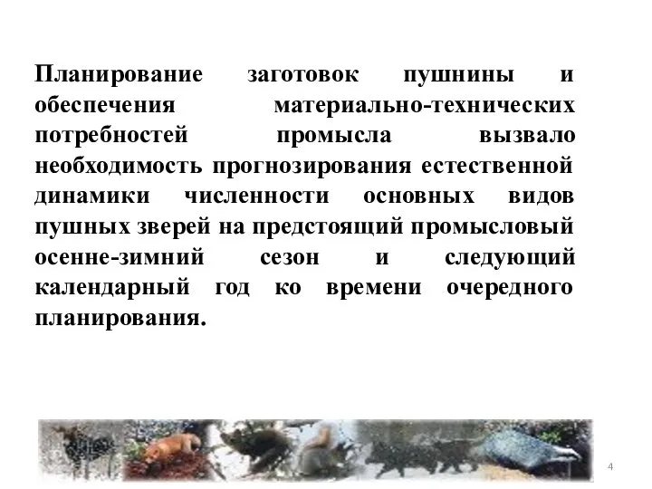 Планирование заготовок пушнины и обеспечения материально-технических потребностей промысла вызвало необходимость прогнозирования естественной