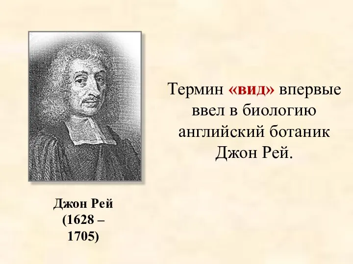 Термин «вид» впервые ввел в биологию английский ботаник Джон Рей. Джон Рей (1628 – 1705)