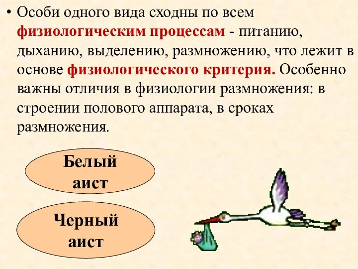 Особи одного вида сходны по всем физиологическим процессам - питанию, дыханию, выделению,