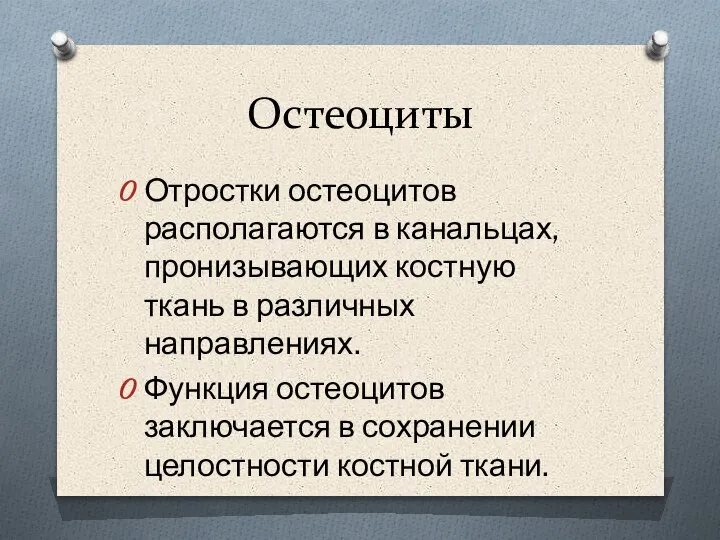 Остеоциты Отростки остеоцитов располагаются в канальцах, пронизывающих костную ткань в различных направлениях.