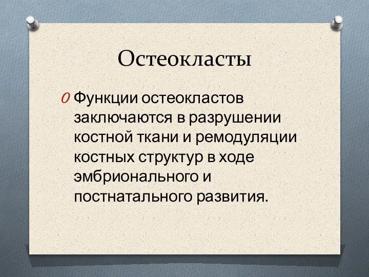 Остеокласты Функции остеокластов заключаются в разрушении костной ткани и ремодуляции костных структур