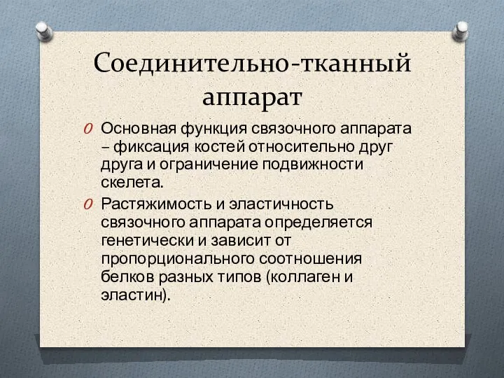 Соединительно-тканный аппарат Основная функция связочного аппарата – фиксация костей относительно друг друга