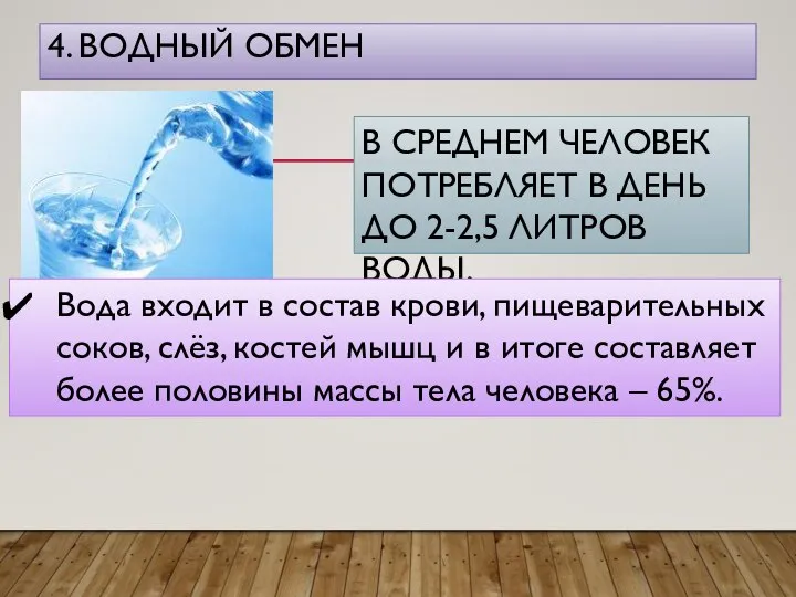 4. ВОДНЫЙ ОБМЕН В СРЕДНЕМ ЧЕЛОВЕК ПОТРЕБЛЯЕТ В ДЕНЬ ДО 2-2,5 ЛИТРОВ