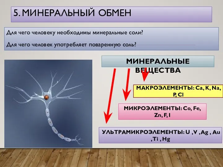 5. МИНЕРАЛЬНЫЙ ОБМЕН Для чего человеку необходимы минеральные соли? Для чего человек