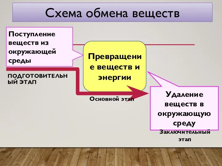 ПОДГОТОВИТЕЛЬНЫЙ ЭТАП Поступление веществ из окружающей среды Удаление веществ в окружающую среду