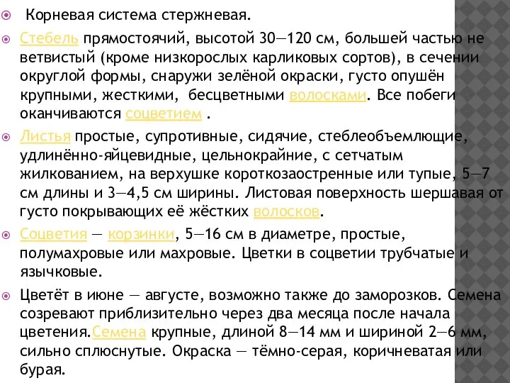 Корневая система стержневая. Стебель прямостоячий, высотой 30—120 см, большей частью не ветвистый