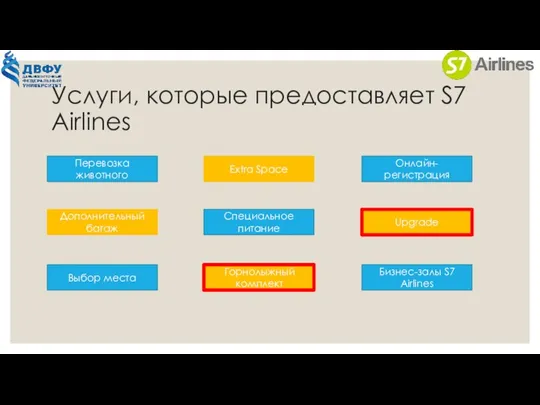 Услуги, которые предоставляет S7 Airlines Перевозка животного Онлайн-регистрация Специальное питание Выбор места