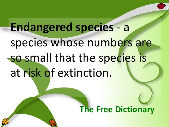 The Free Dictionary Endangered species - a species whose numbers are so