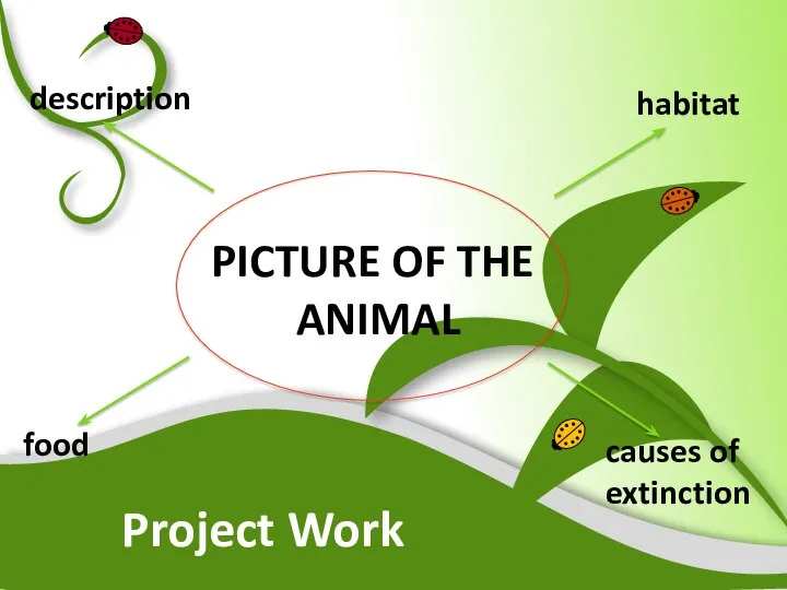 Project Work PICTURE OF THE ANIMAL description habitat food causes of extinction