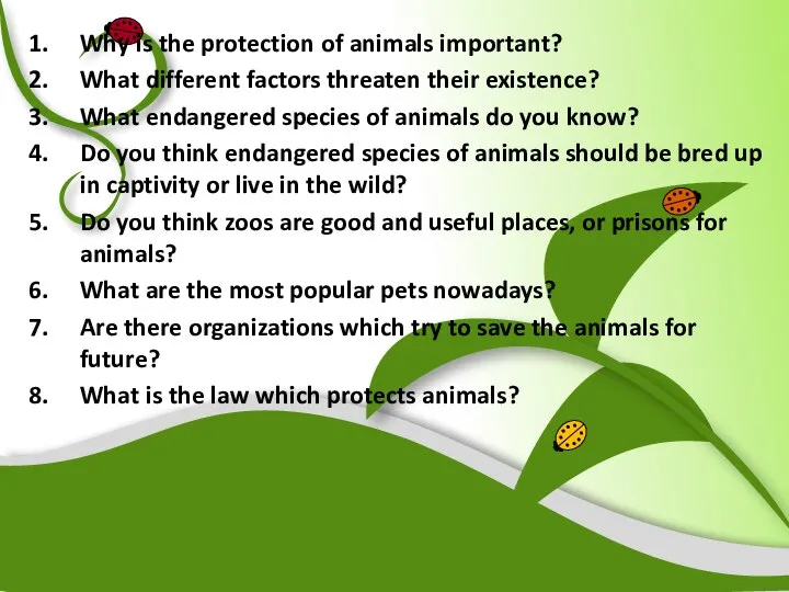 Why is the protection of animals important? What different factors threaten their