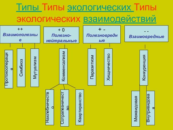 Типы Типы экологических Типы экологических взаимодействий ++ Взаимополезные + 0 Полезно- нейтральные