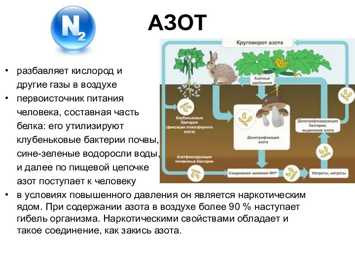 АЗОТ разбавляет кислород и другие газы в воздухе первоисточник питания человека, составная