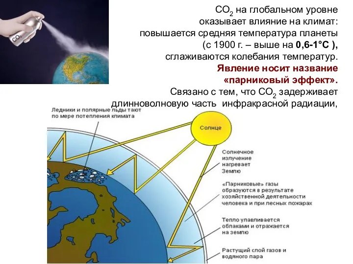СО2 на глобальном уровне оказывает влияние на климат: повышается средняя температура планеты