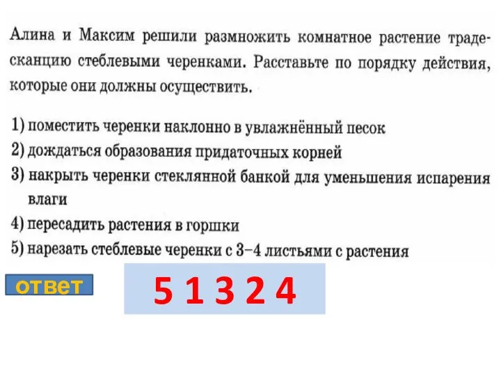 ответ 5 1 3 2 4