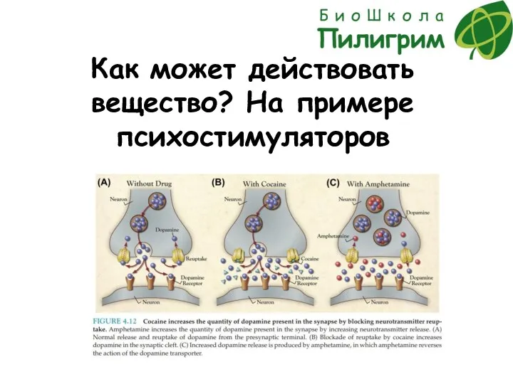 Как может действовать вещество? На примере психостимуляторов