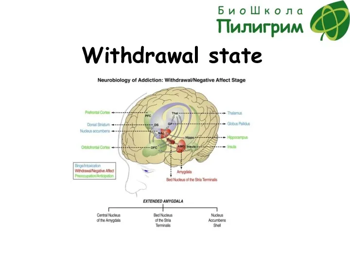 Withdrawal state