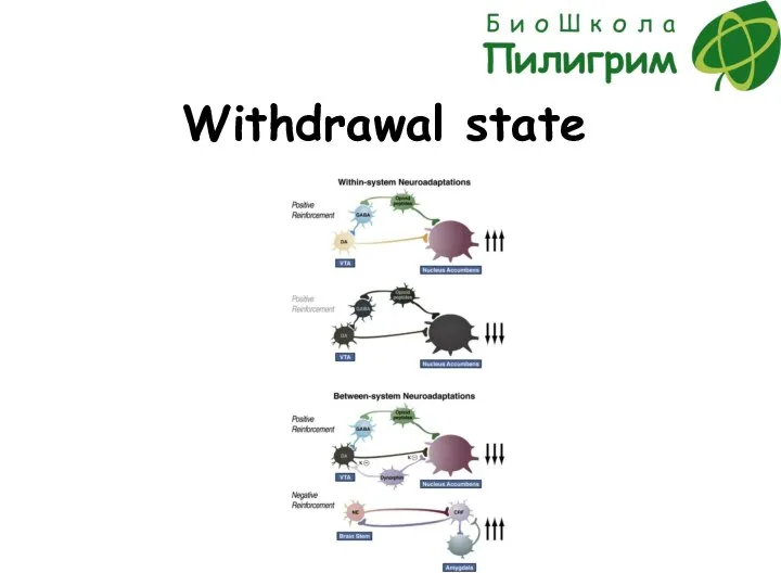 Withdrawal state