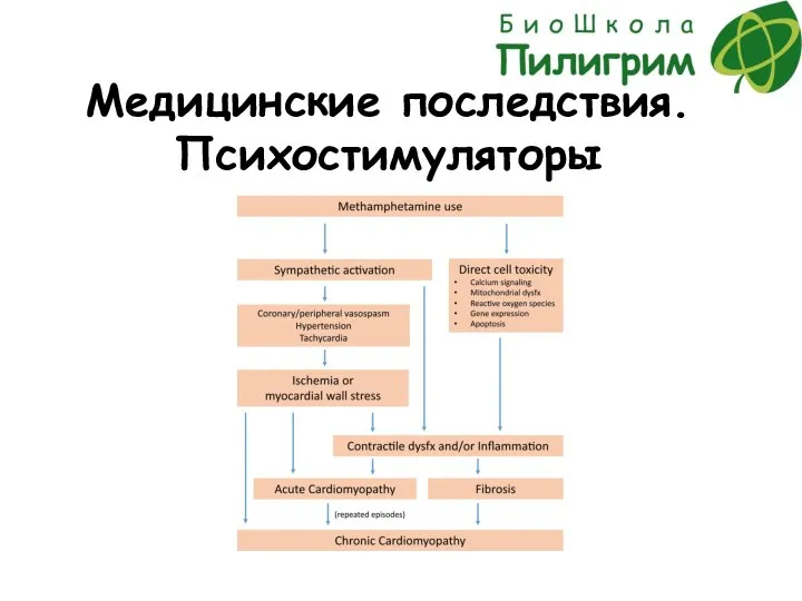 Медицинские последствия. Психостимуляторы