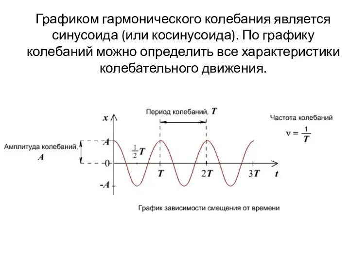 Графиком гармонического колебания является синусоида (или косинусоида). По графику колебаний можно определить все характеристики колебательного движения.