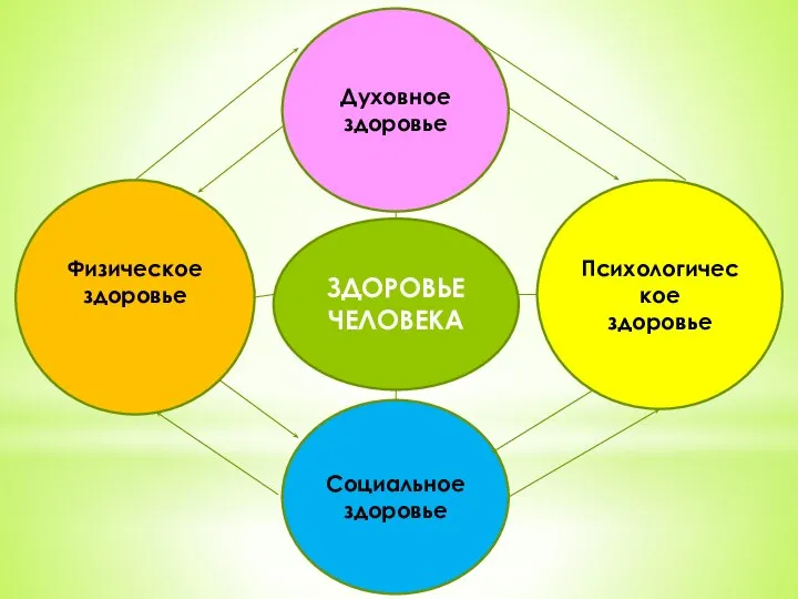 ЗДОРОВЬЕ ЧЕЛОВЕКА Духовное здоровье Социальное здоровье Физическое здоровье Психологическое здоровье