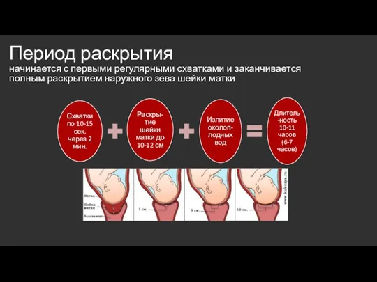 Период раскрытия начинается с первыми регулярными схватками и заканчивается полным раскрытием наружного зева шейки матки