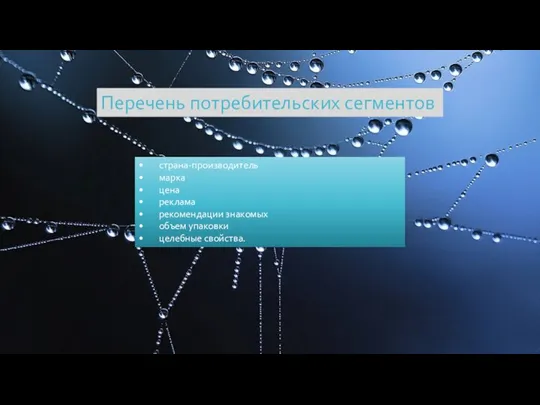 Перечень потребительских сегментов • страна-производитель • марка • цена • реклама •