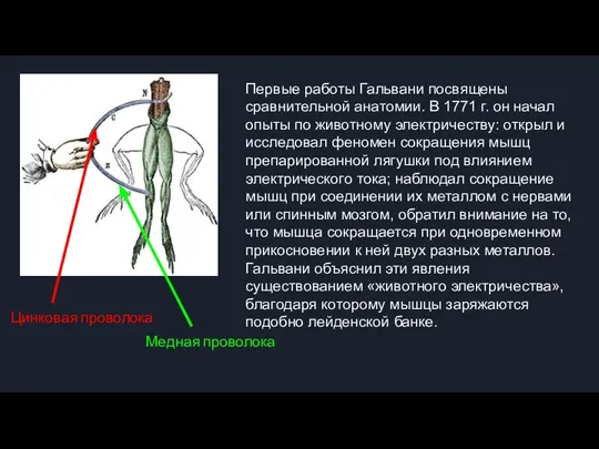 Первые работы Гальвани посвящены сравнительной анатомии. В 1771 г. он начал опыты