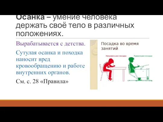 Осанка – умение человека держать своё тело в различных положениях. Вырабатывается с